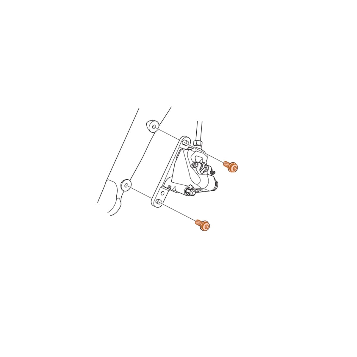 Vis De Fixation Pour Étrier De Frein De Moto - M10 X 1.25mm X 25mm - Acier Inoxydable 304 - Paire De 2