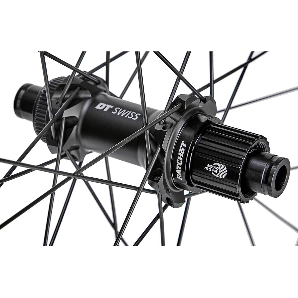 Roda traseira de bicicleta DT Swiss XR 1700 SP 29 CL 25 12/148 ASL12